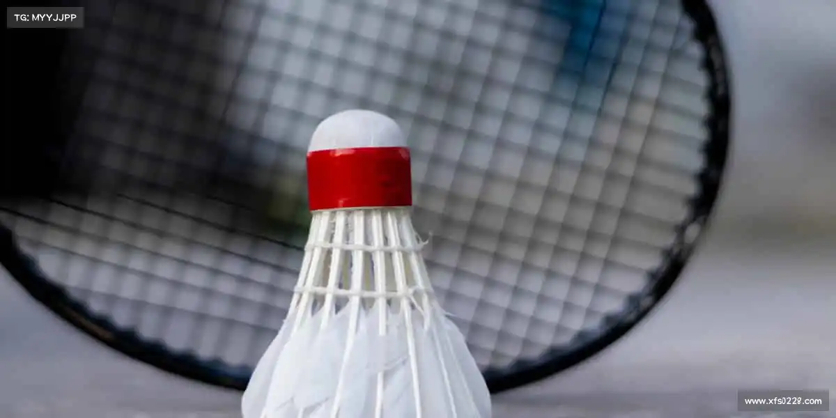 我们的品牌价值